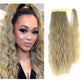 30-Second Curly Dream Ponytail Extension - Inglows